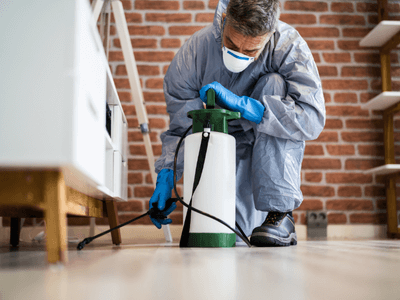 About Footscray Pest Experts - pest control experts in Footscray, Melbourne